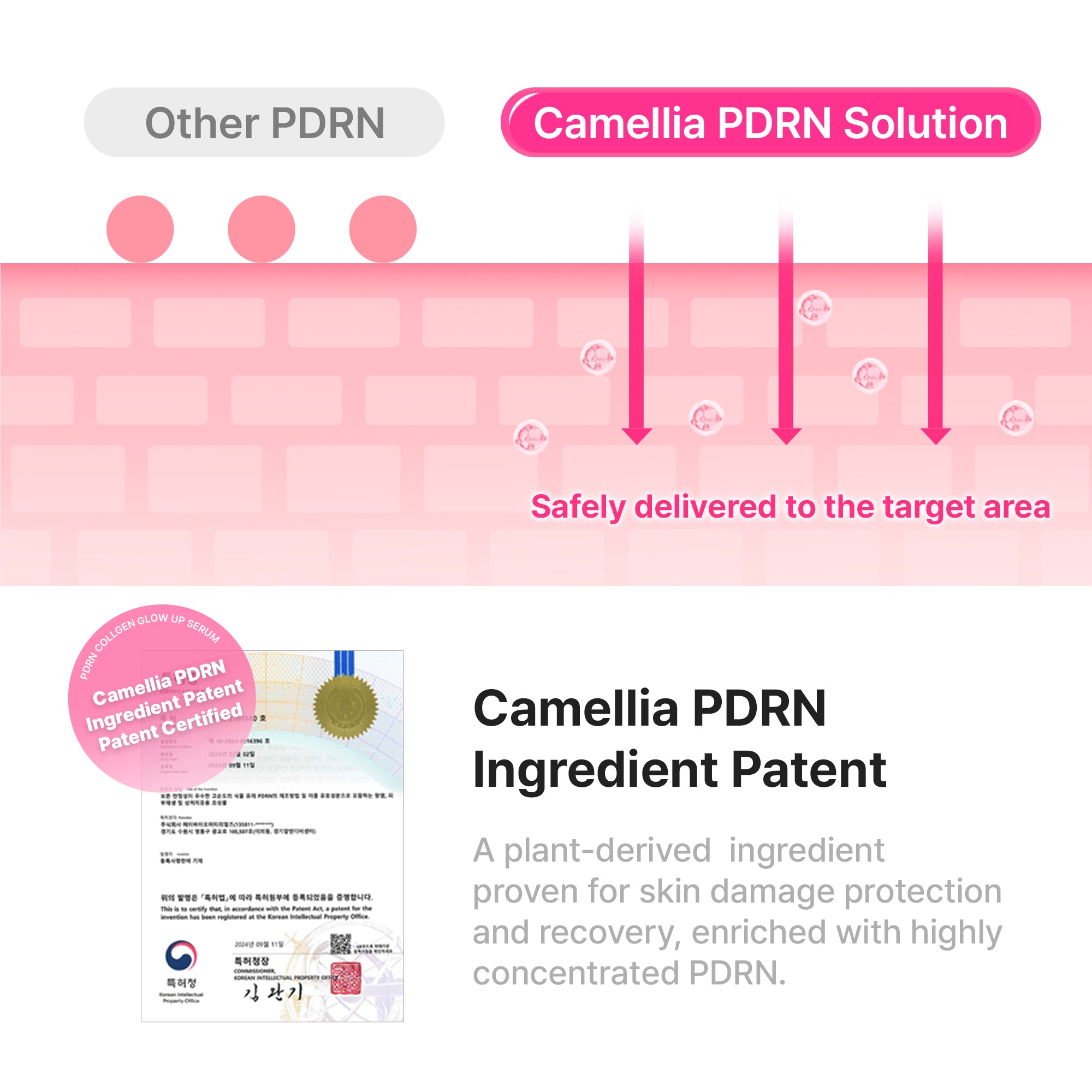 PDRN Collagen Glow Up Serum 30ml